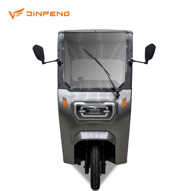 New Arrival Electric Tricycle with Roof Made in China