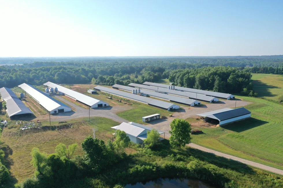 Galvanisé à chaud châssis en H ferme avicole pour le poulet/éleveur de poulets de chair/avec plein de l'équipement automatique