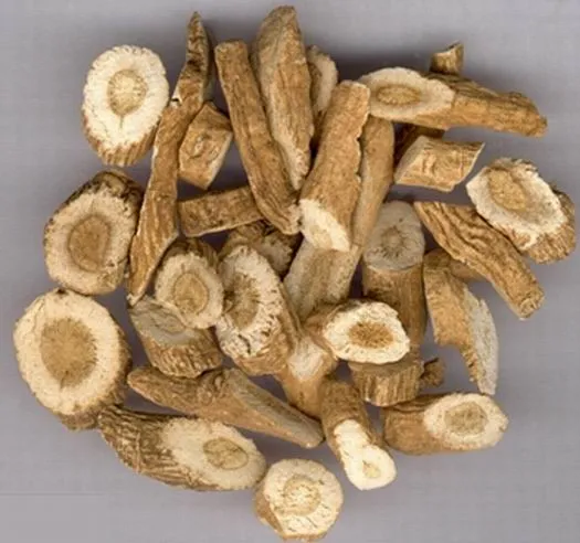 Manufacturer Supply 100% Natural Isatis Root Extract /Radix Isatidis Extract