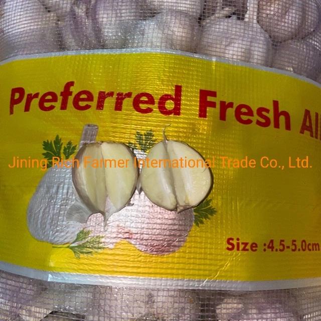 Factory Direct Supplier 4.5cm Chinese Normal White Fresh Garlic