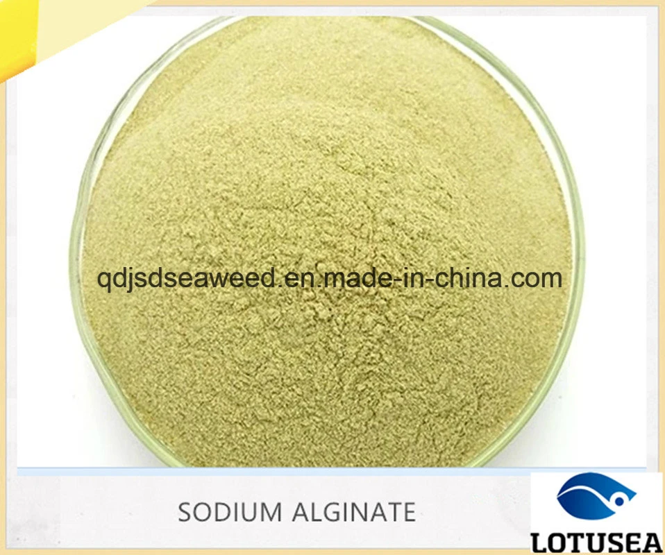 Hardwood Floor Coating Agent Sodium Alginate 100mesh