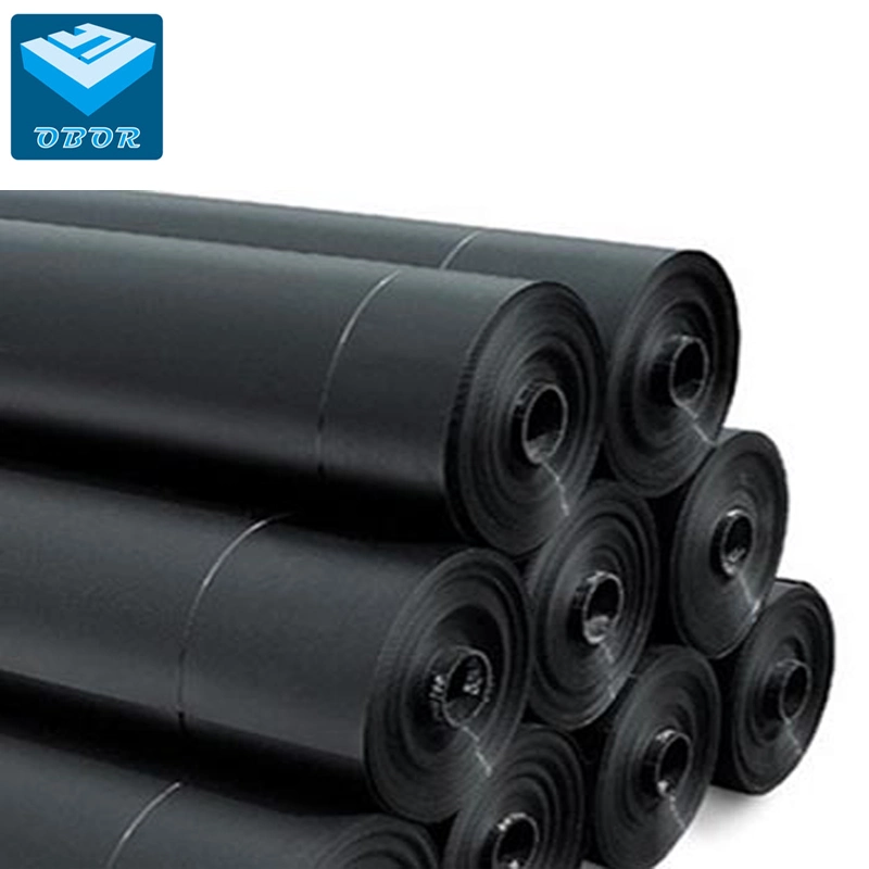 ASTM Gri GM13 Standard HDPE Geomembrane for Aquaculture Project