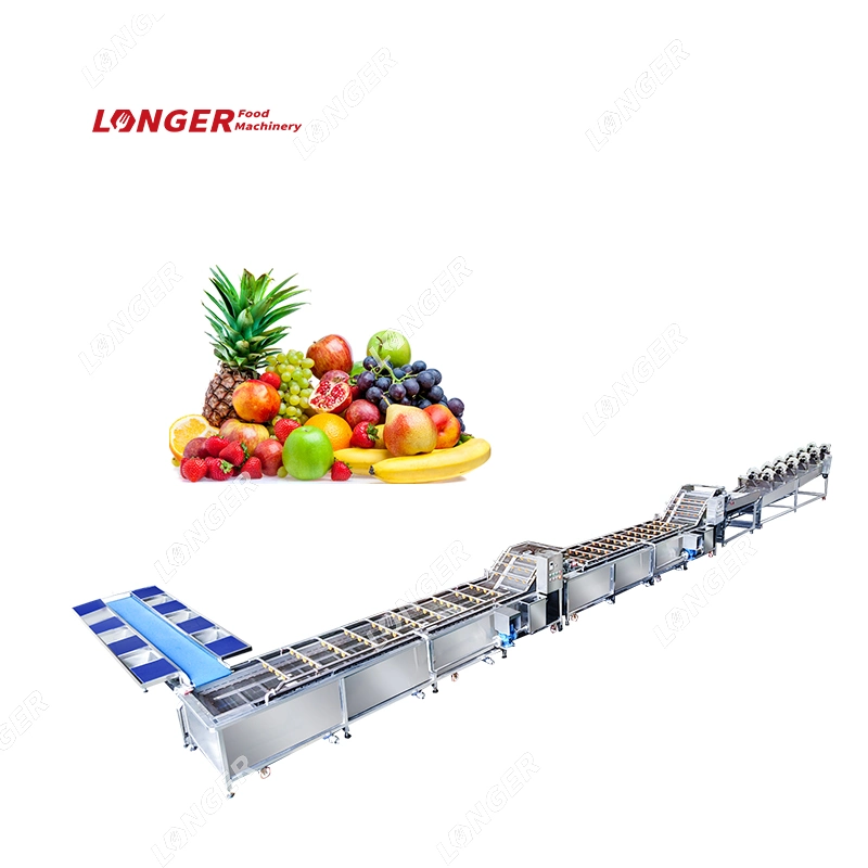 Multi Fruit and Vegetable Washing Line Vegetables Processing Line Fruit and Vegetable Cutting Packing Machine Line