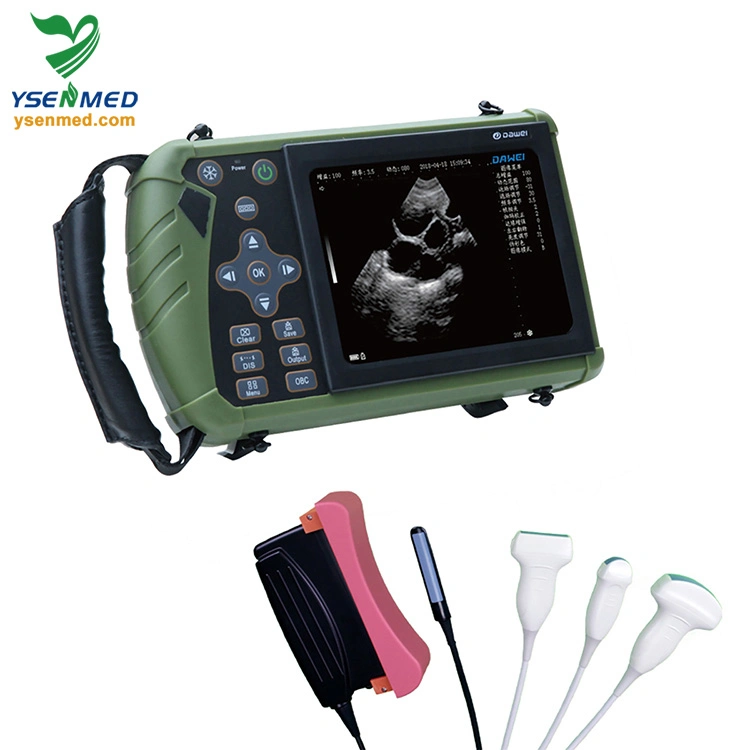 Portable Veterinary Medical Equipment Bw Ultrasound Machine Ysb-S1V