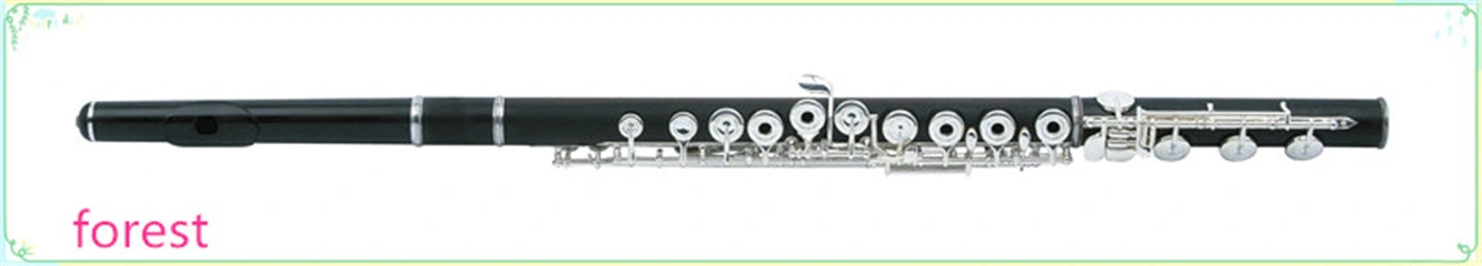 Wooden Flute Wholesale/Supplier Brass Instrument, Made in China