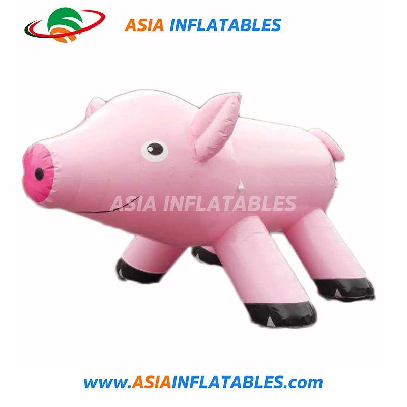 Inflatable Pig for Advertising, Inflatable Pig for Promotion