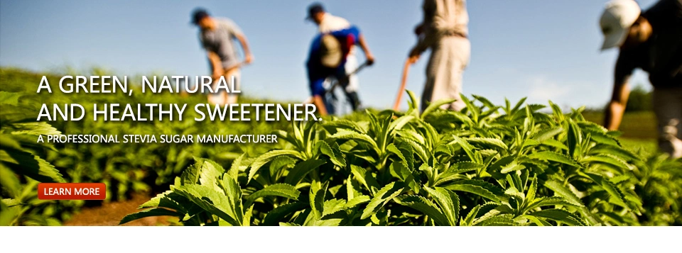 Kosher Stevia Ra97% Sweeteners