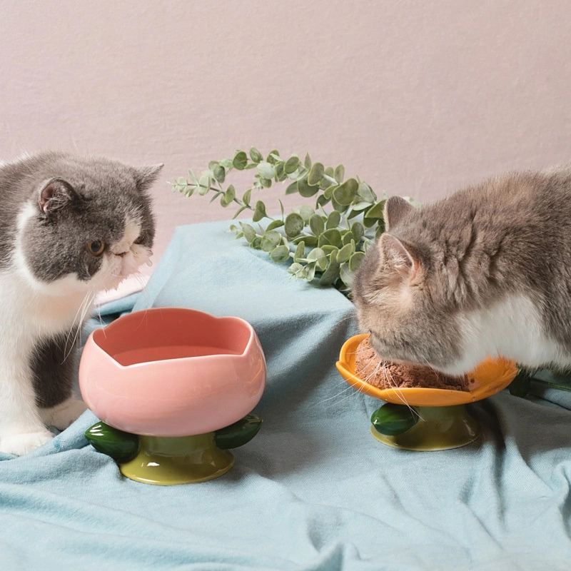 Cuenco de cerámica,Precioso pequeño Animal No derrame ni el volumen de negocios de alimentos el tazón de agua plato soporte para Roedores Rata Gerbil Cobaya Cavy Ratón Erizo enano alimentación alimentador Bowl