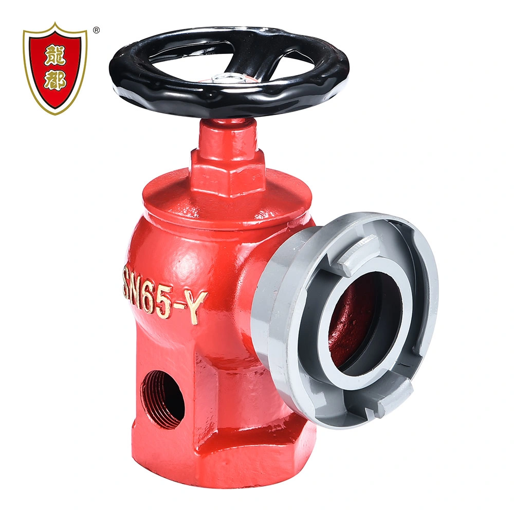 DN65 2.5'' Ductile Iron Rotary Body Indoor Fire Hydrant Valve with Removable Coupling