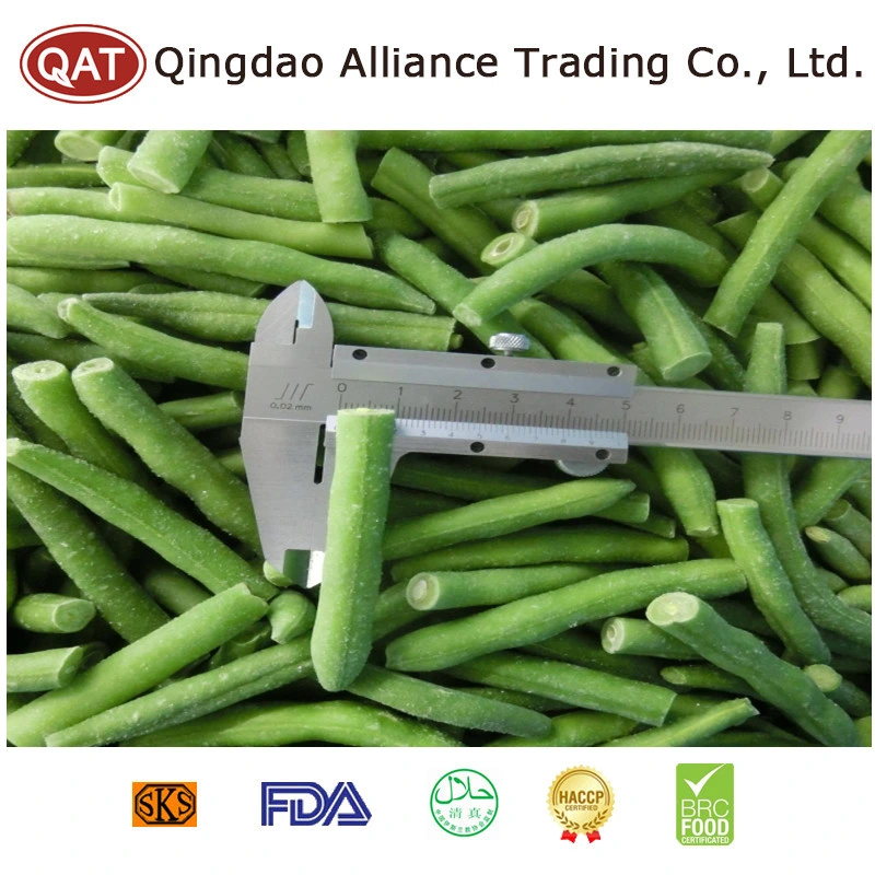 Top Quality Frozen IQF Cut Green Beans with Factory Price EU Standard in Bulk Retail Packing