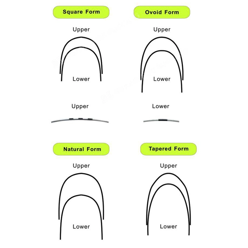 Denxy Dental Orthodontic Materials Arch Stainless Steel Wire