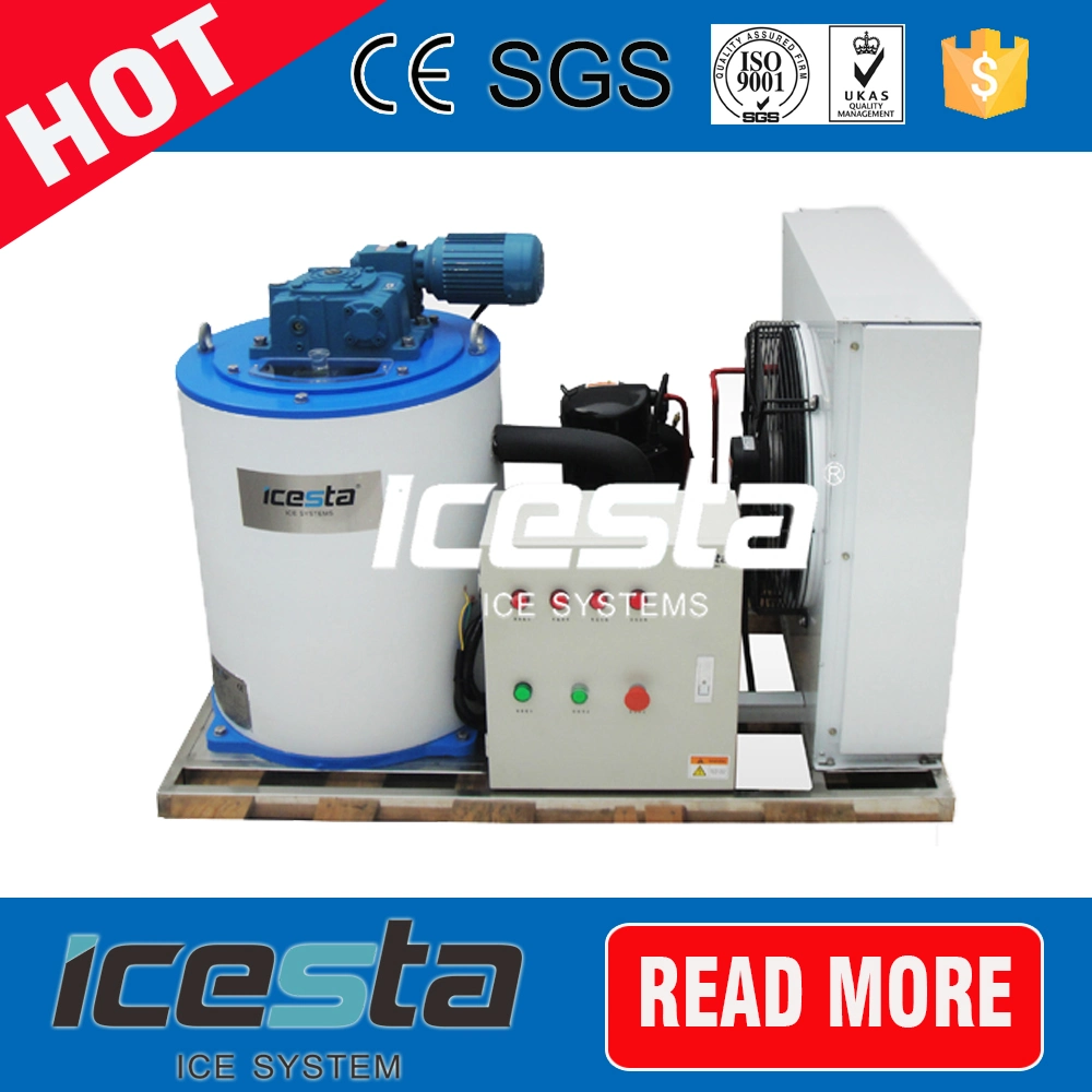 Automatic Control Commercial Ice Making System for Seafood Preservation