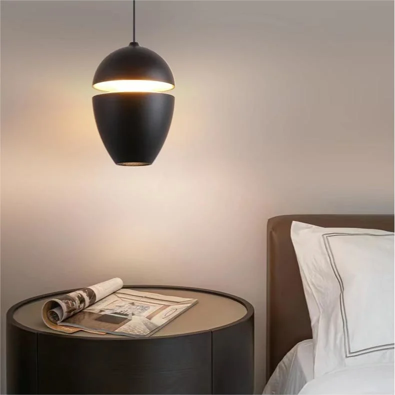 Warmth and Aesthetics LED Indoor Pendant Light with Light Source