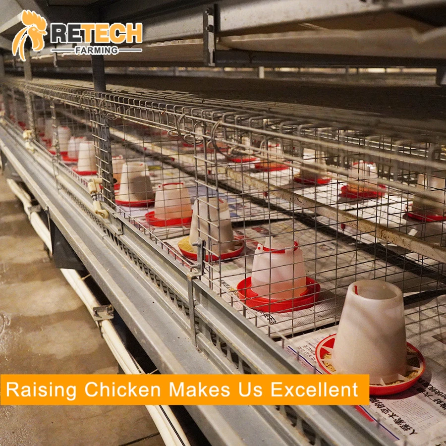 Automatic Chicken Farm Equipment for Layer/Broiler/Pullet