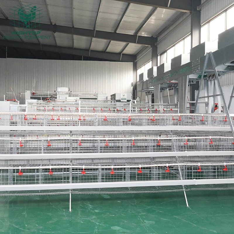 Hightop Cheap Quality Hot Galvanized Poultry Farm Layer Chicken Cage