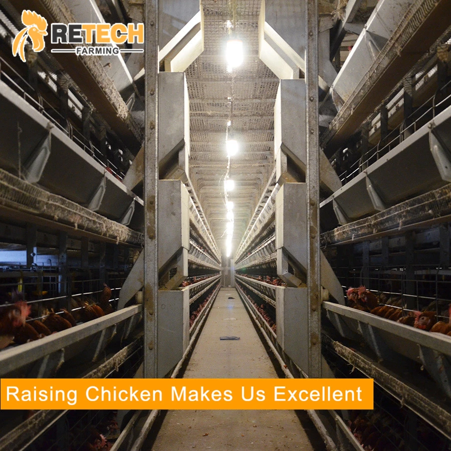 design laying hen battery H type chicken cages for sale