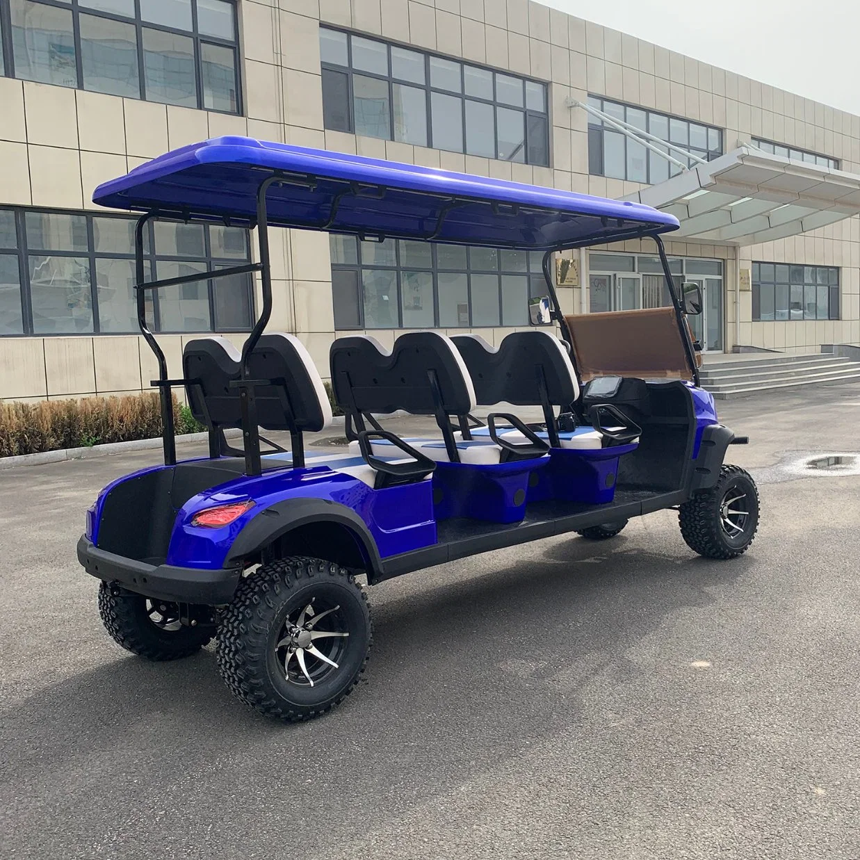 OEM / ODM hohe Qualität Kundengebundene 6 Sitzer angehoben Electric Golf Buggy