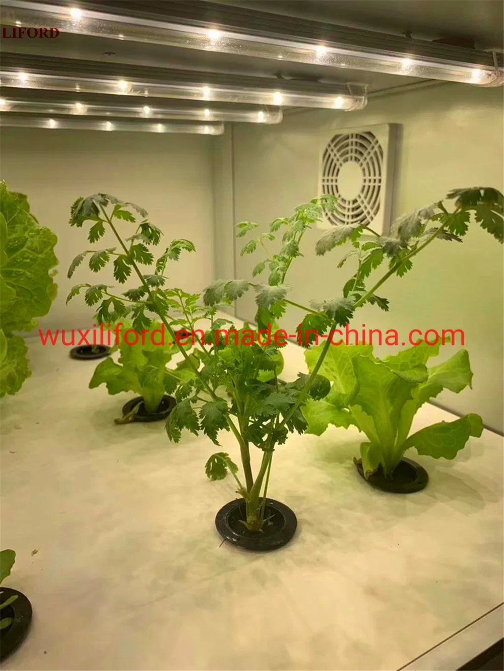 Irrigation Equipment Agricultural Tower Vertical Garden Hydroponics System for Microgreens