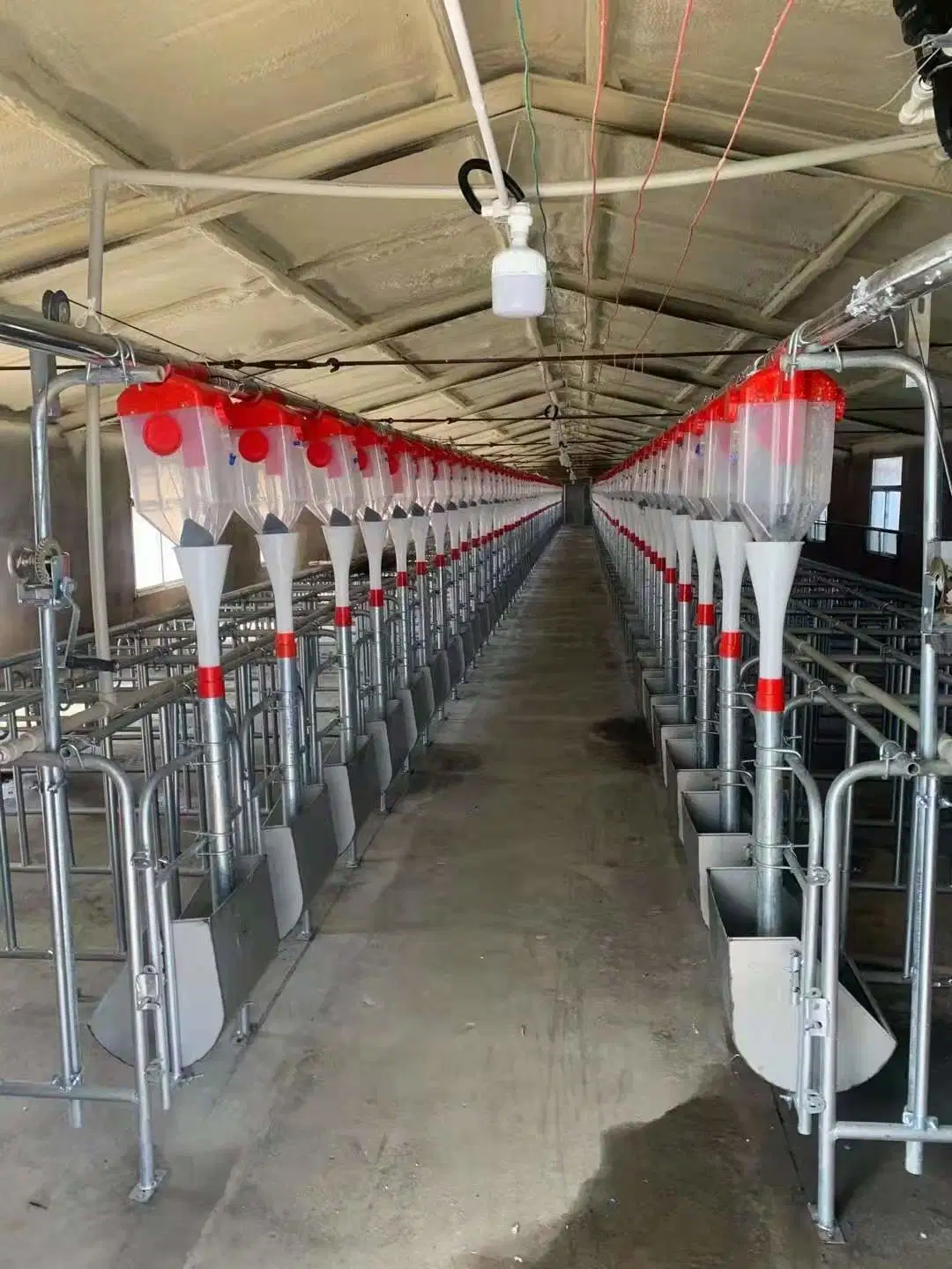 Livestock Farm Equipment Pig Crate Gestation Stall