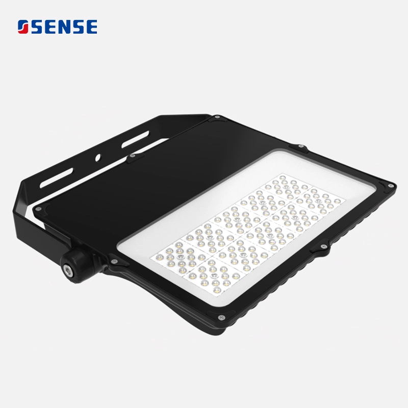 Whole Family LED Floodlight 30W 50W 80W 100W 120W 150W 200W 240W Lighting LED Sports Flood Light