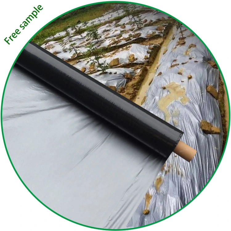 3 Layers Co-Extrusion Composite Blow Molding Plastic Mulching Film for Agricultural Greenhouse