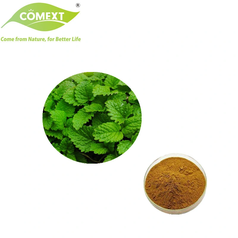 Comext ISO Factory Lyphar Supply Directly 100% 5: 1 10: 1 20: 1 Natural Melissa Extract Lemon Balm Extract