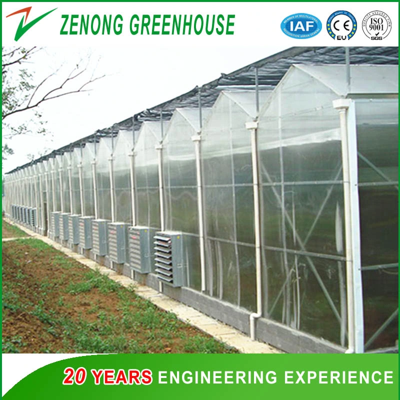 Gutter Connected PC Greenhouse with Automatic Ventilation/Cooling/Irrigation System for Seed Breeding