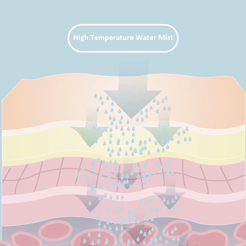 Electrodomésticos Cuidado facial Vapozone Nano Ionic vapor caliente y. Vaporera facial con humedad profunda