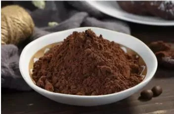 Dak Lak Cocoa Powder 100% من الكاكاو المحتوى سعر جيد تصدير عالي الجودة