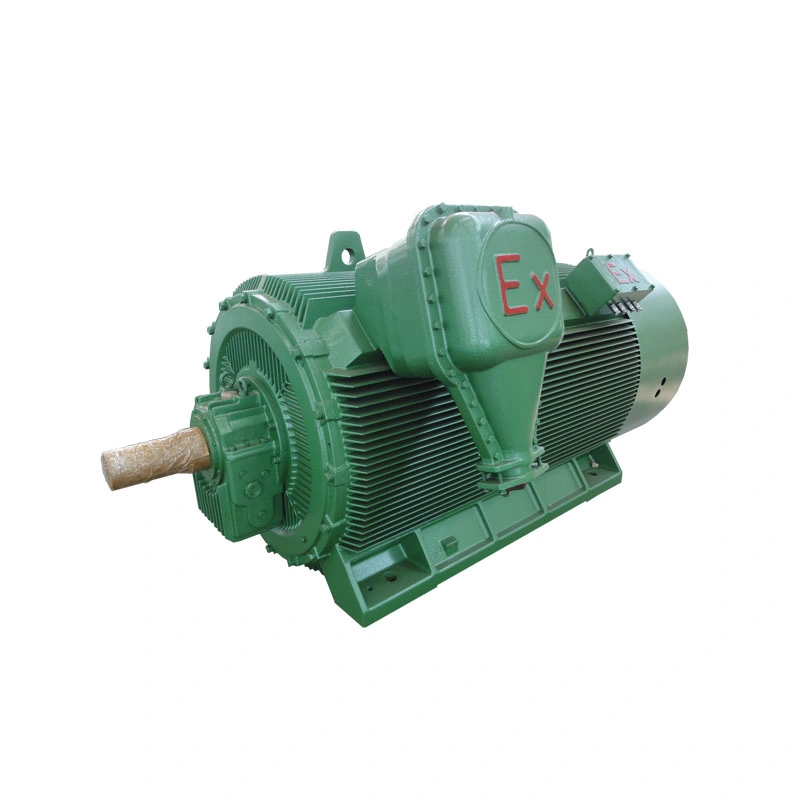 Ybx3 450 High Voltage Explosion Proof AC Electric Motor 6000V-6600V