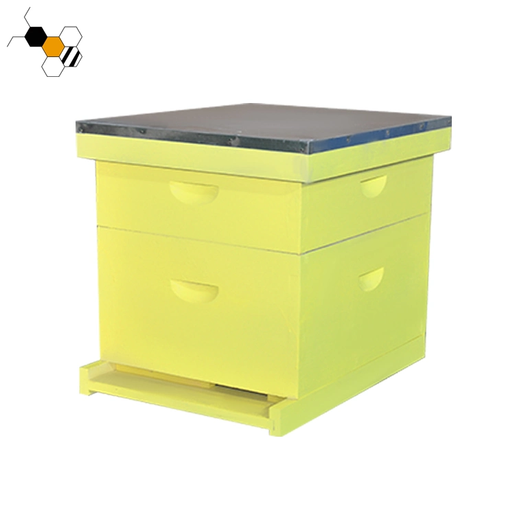 OEM Painted 10 Frame Langstroth Beehive