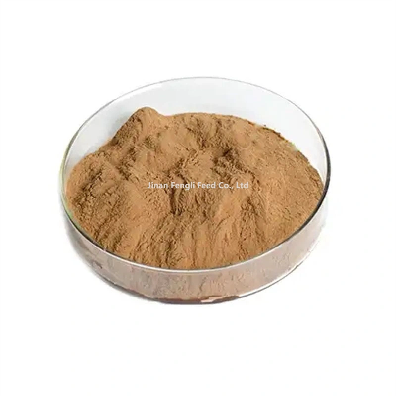 Natural Organic Mane Mushroom Extract Powder Animal Feed Food Additive