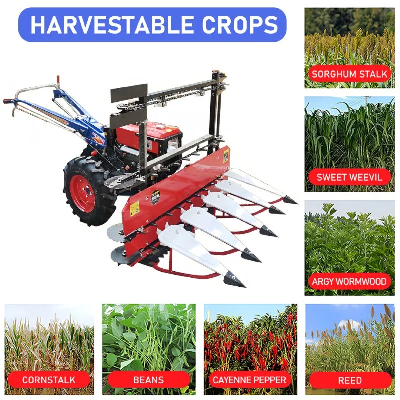 Sif Mini Walking Corn Harvester Machine Cutting Machine Rice Harvester Wheat Harvester Silage Harvester Machine