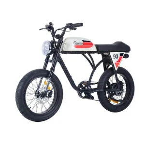 2024 New Product with Unique Design Electric Bicycle 500W 750W Motor 48V 20 Inch Fat Tire