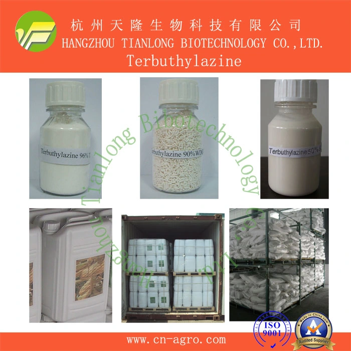 Terbuthylazine (97%TC, 80%WP, 90%WDG, 500SC)-Herbicide