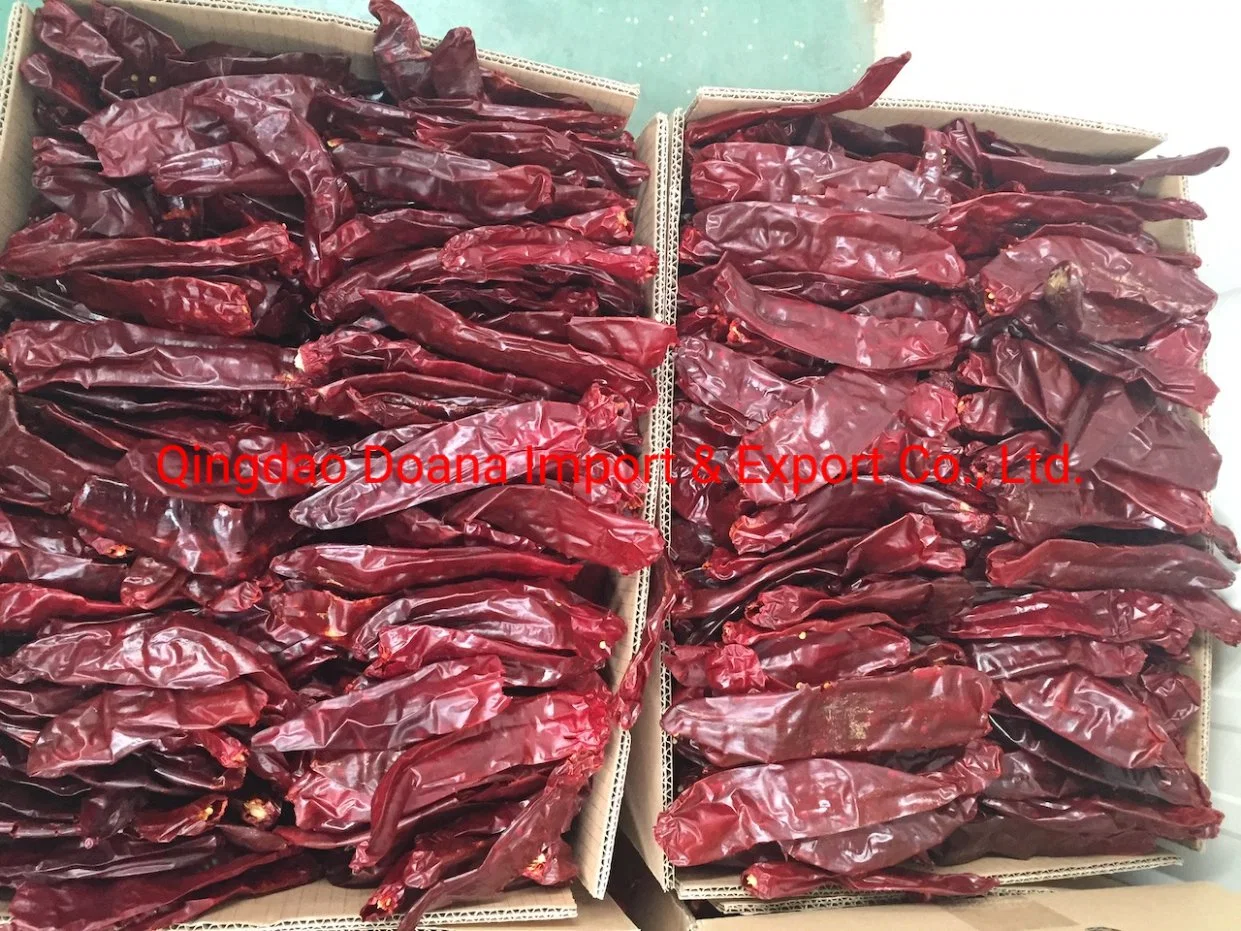 Paprika Whole Pods Mexico Carton Packed Paprika Pods Table Paprika