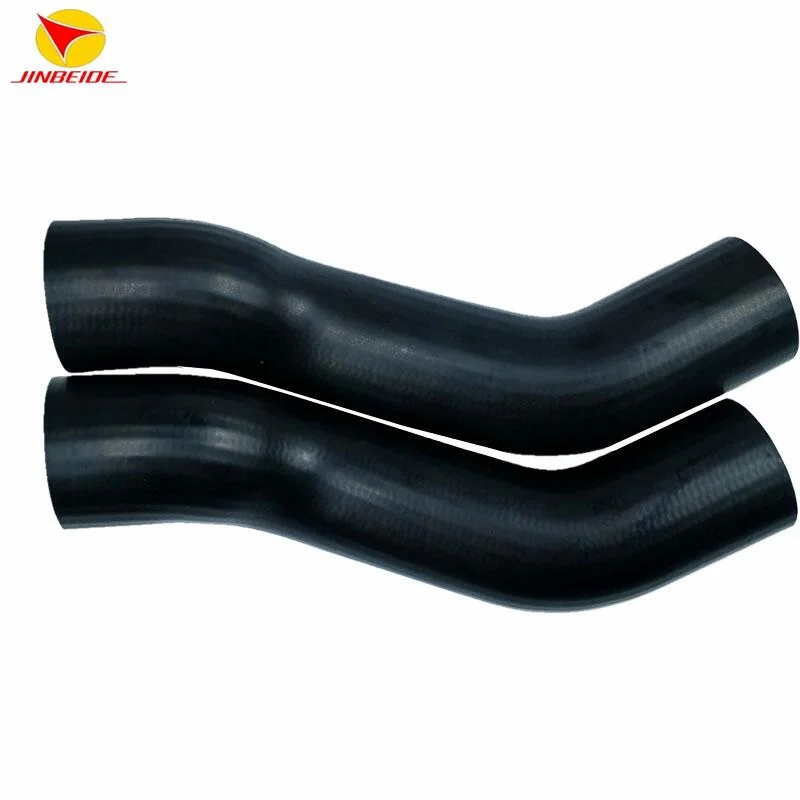 Chinese Factory Automotive Brake System Vacuum Control Rubber Fuel Pipe with Clamps