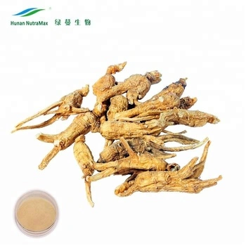 Extrait en poudre de tige et de feuille de ginseng Panax de Chine 3-80% de ginsénosides (norme UE, USP, FDA)