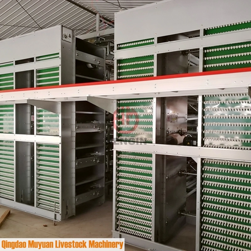 Automatic H-Type Layer Poultry Cage of Farm Livestock Machine