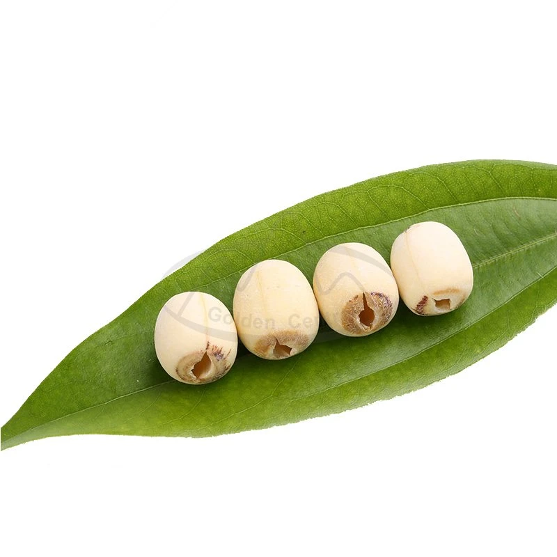 100% natural de sementes de lótus secas produto saudável Lotusseeds de alta qualidade
