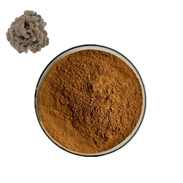 Factory Supply High Quality Maitake Extract Maitake Mushroom Powder
