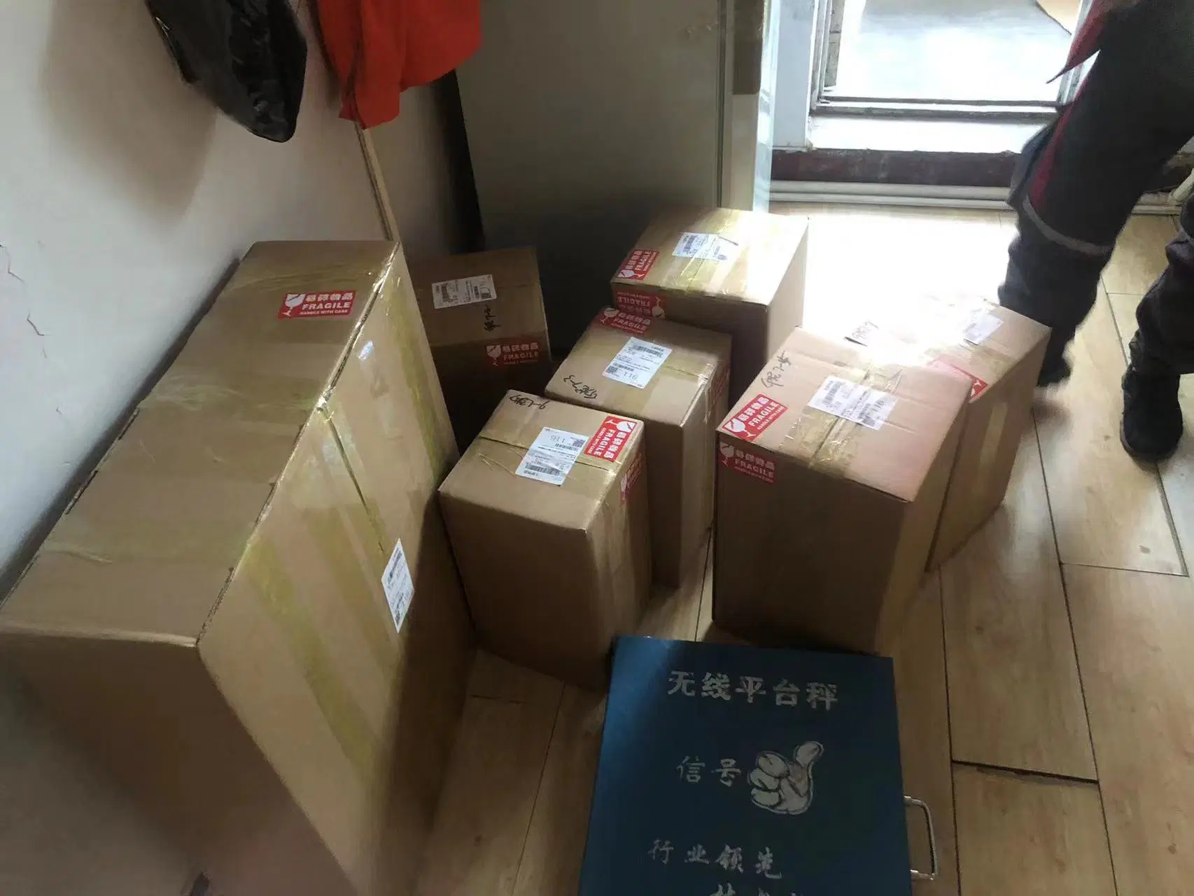 Servicios rápidos de Logística UPS FedEx de China Shenyang a. Francia