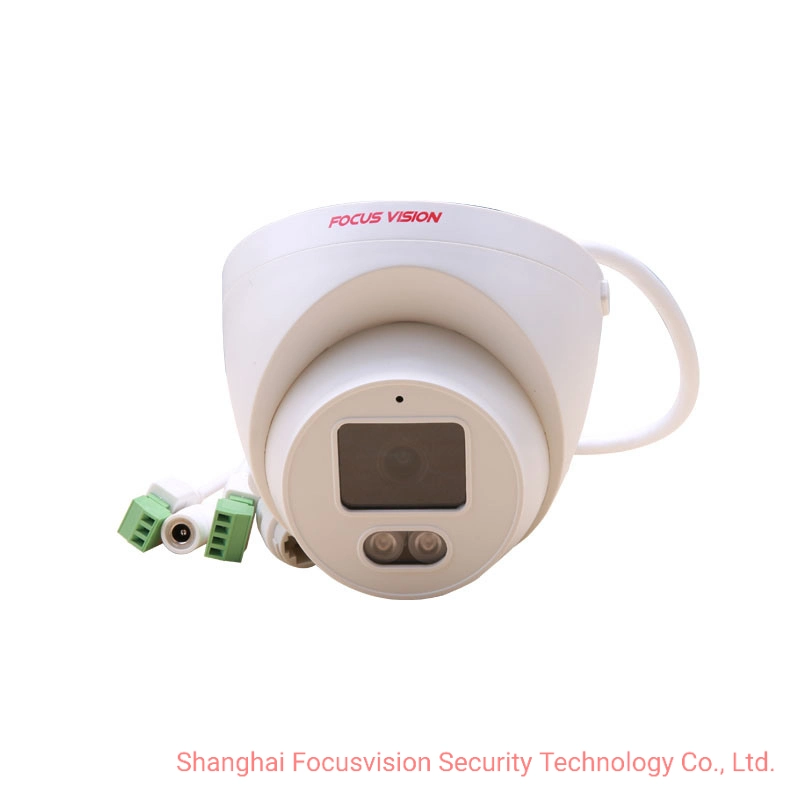 2MP Indoor Human Detection IR Infrared IP Fixed Turret Dome Network CCTV Security Poe Camera