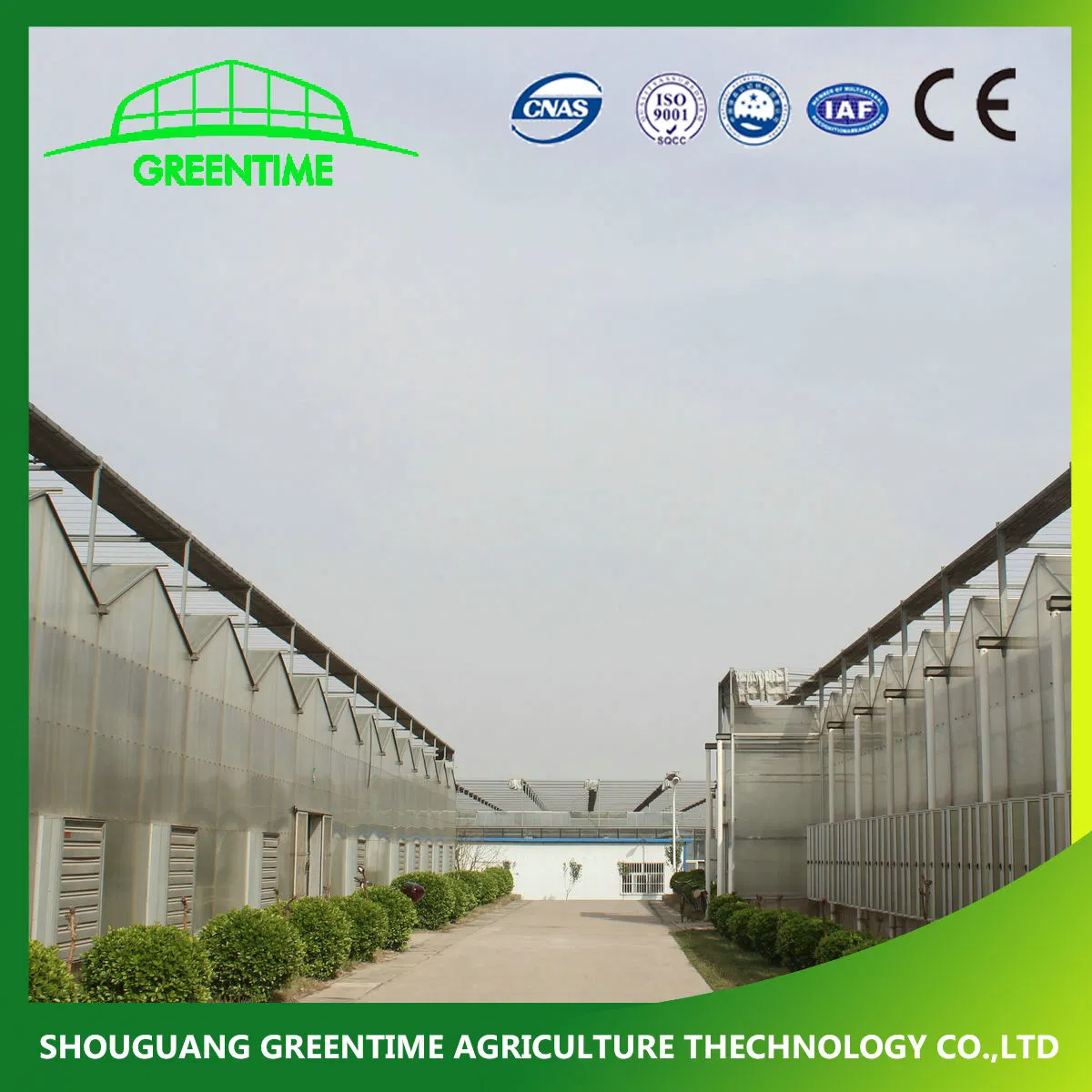 Hot Sale Commercial Polycarbonate Panels Hydroponic Greenhouse for Tomato