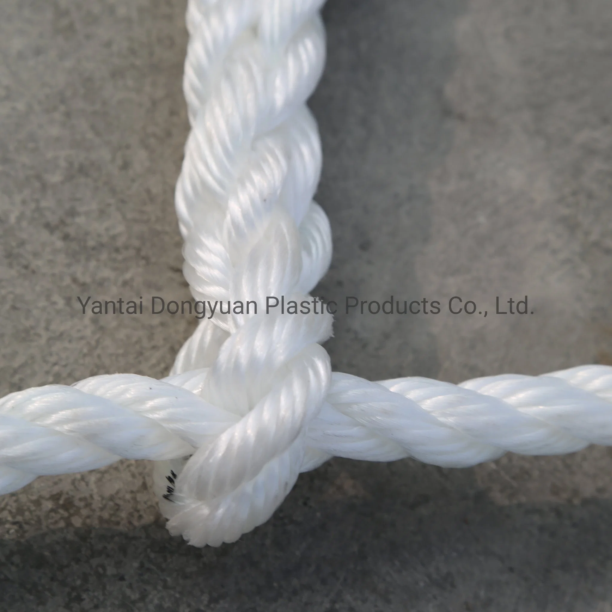 PP Webbing Nets Made of Plastic Ropes