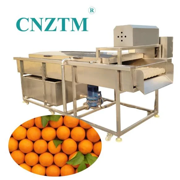 Machine de lavage de pêches pour le traitement industriel de nettoyage de légumes et de fruits frais.