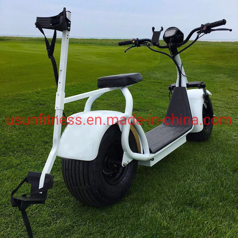 Golf Club Hot Sales 2 Wheels Electric Cars in High Performance Golf Electric Scooter City Coco Fat Tire Tricycle Motorcycle Cargo Scooters for Golf Course