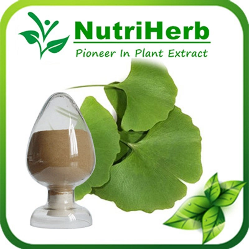 Factory Price Ginkgo Biloba Extract Flavonids 24% 6% Egb 761