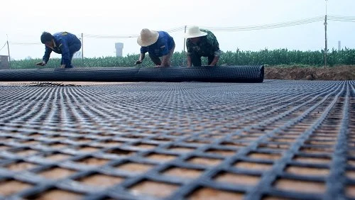 China Geogrid Proveedor fácil de construir Geogrid malla de fibra de vidrio Geogrid para la protección de la pendiente Red de plástico camino de grava