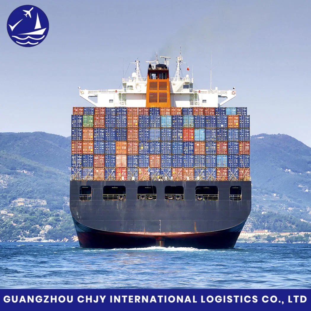 FCL/LCL DDU Transporte Logística Transporte marítimo Forwarder con el Precio más bajo Y el mejor servicio de China a América/Canadá